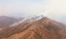 桂平山火灾最新爆料消息,火势控制与救援行动纪实