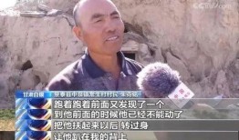 新闻爆料牧羊人视频,揭秘草原奇观背后的神秘力量